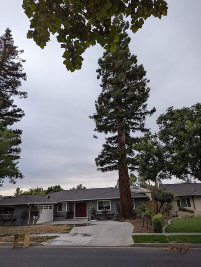 Wilcox Park - San Jose, CA