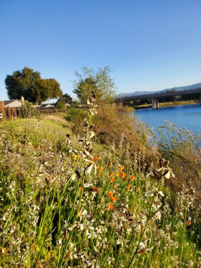 William H. Cilker Park - San Jose, CA