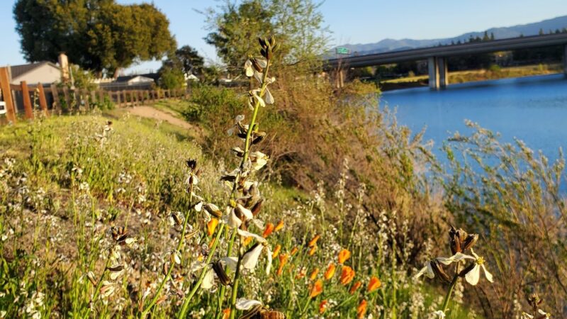 William H. Cilker Park - San Jose, CA