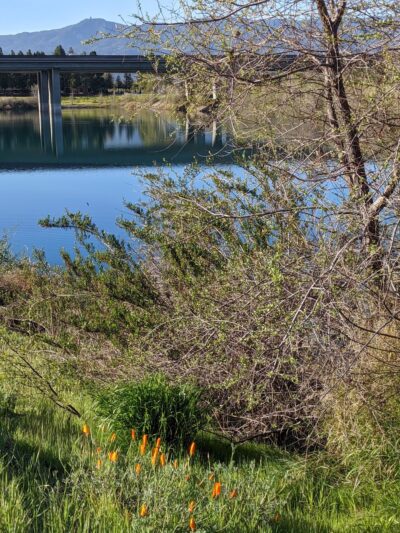 William H. Cilker Park - San Jose, CA