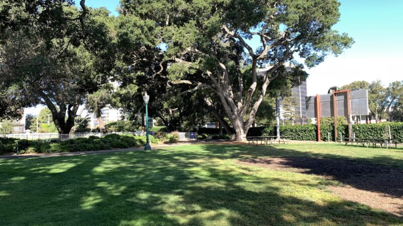Dog Off-Leash Area - San Mateo, CA