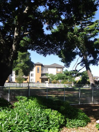 Dog Off-Leash Area - San Mateo, CA