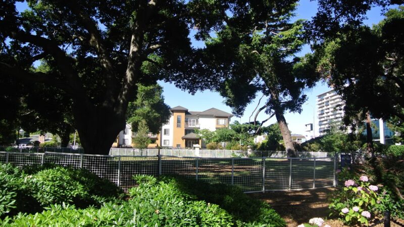 Dog Off-Leash Area - San Mateo, CA