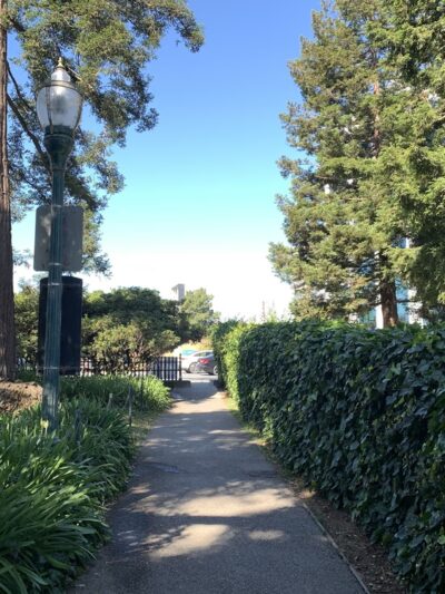 Dog Off-Leash Area - San Mateo, CA