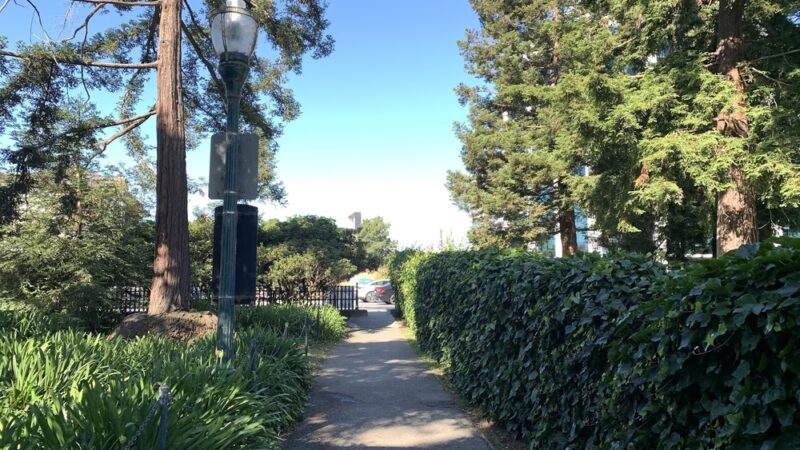 Dog Off-Leash Area - San Mateo, CA