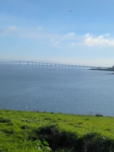 Seal Point Park - San Mateo, CA