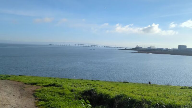Seal Point Park - San Mateo, CA