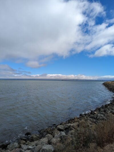 Seal Point Park - San Mateo, CA