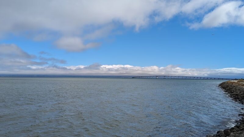 Seal Point Park - San Mateo, CA
