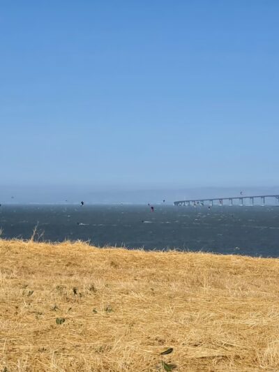Seal Point Park - San Mateo, CA