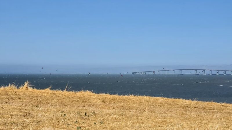 Seal Point Park - San Mateo, CA