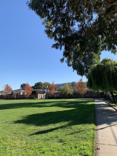 West Hillsdale Park - San Mateo, CA