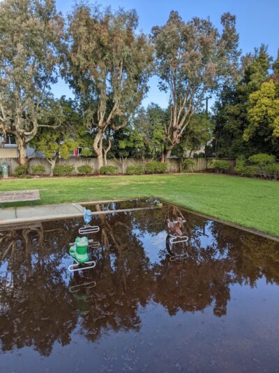 West Hillsdale Park - San Mateo, CA