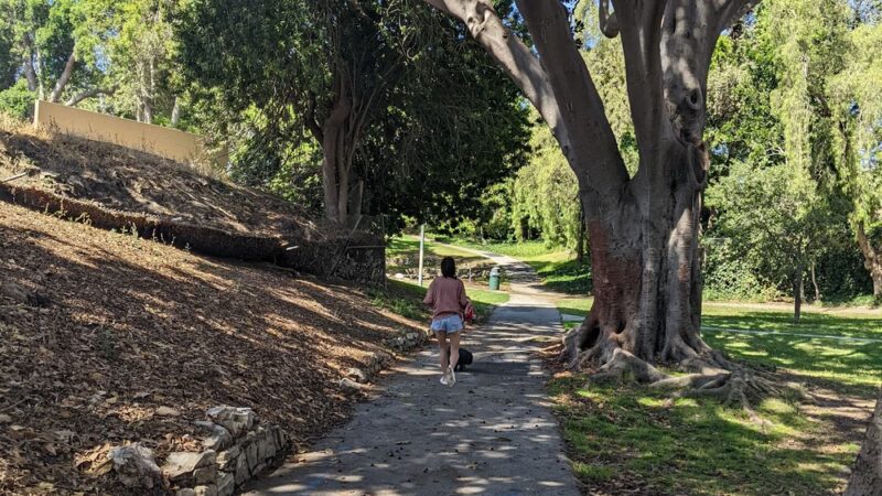 Alma Park - San Pedro, CA