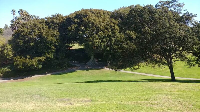 Averill Park - San Pedro, CA