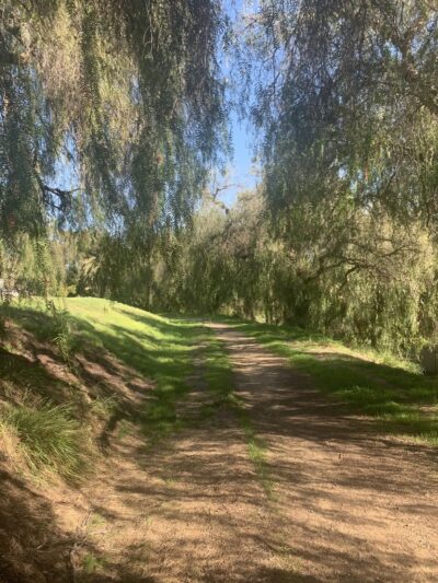 Bandini Canyon Park - San Pedro, CA