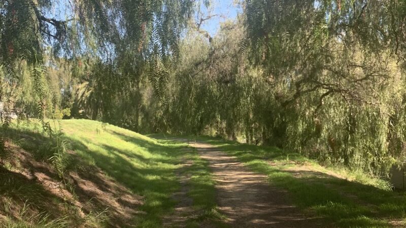 Bandini Canyon Park - San Pedro, CA