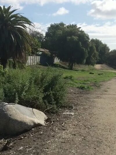 Bandini Canyon Park - San Pedro, CA