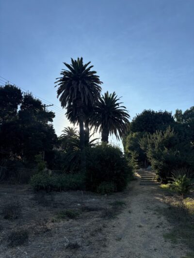 Bandini Canyon Park - San Pedro, CA