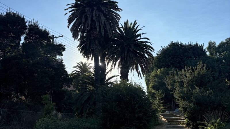 Bandini Canyon Park - San Pedro, CA