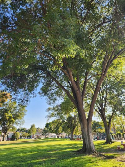 Harbor Highlands Park - San Pedro, CA