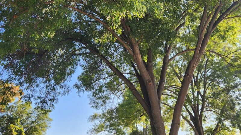 Harbor Highlands Park - San Pedro, CA