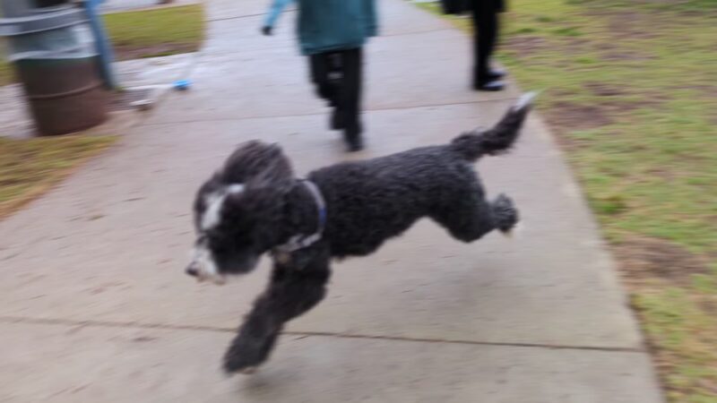 Joan Milke Flores Park - San Pedro, CA