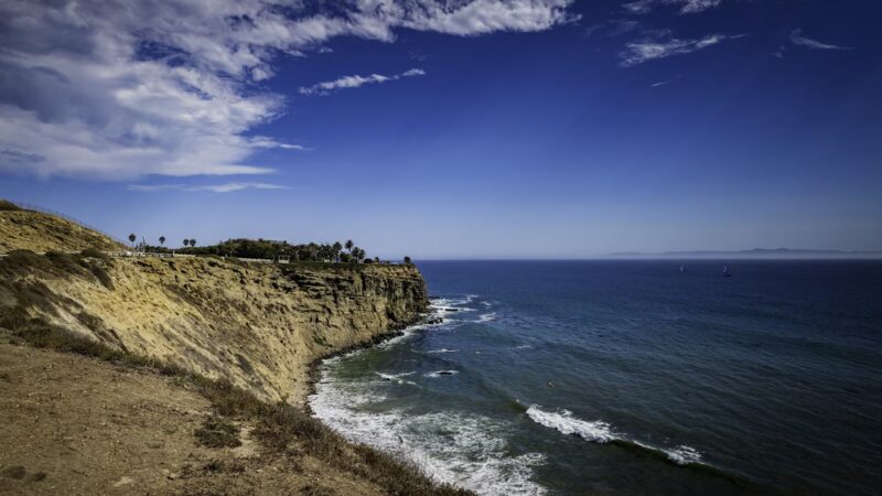 Joan Milke Flores Park - San Pedro, CA