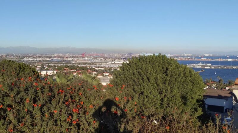 Lookout Point Park - San Pedro, CA