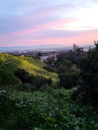 Peck Park Community Center - San Pedro, CA