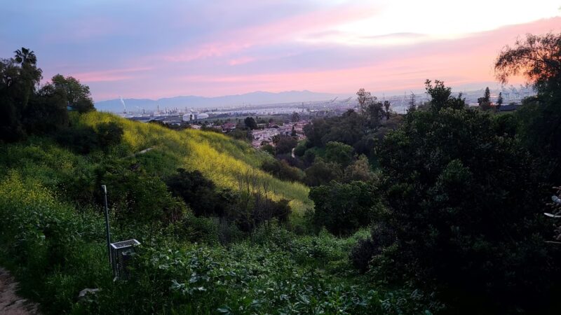 Peck Park Community Center - San Pedro, CA