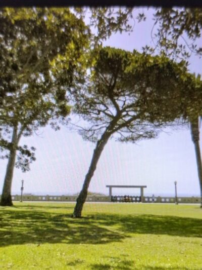 Point Fermin Park - San Pedro, CA