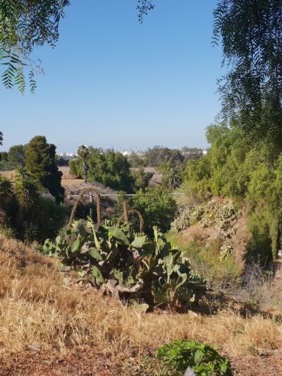Rena Park - San Pedro, CA