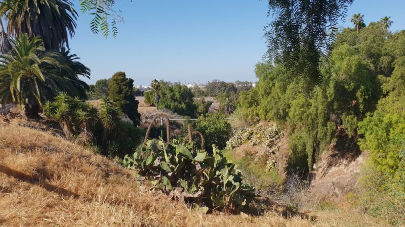 Rena Park - San Pedro, CA