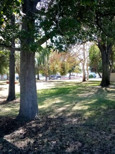 Rena Park - San Pedro, CA