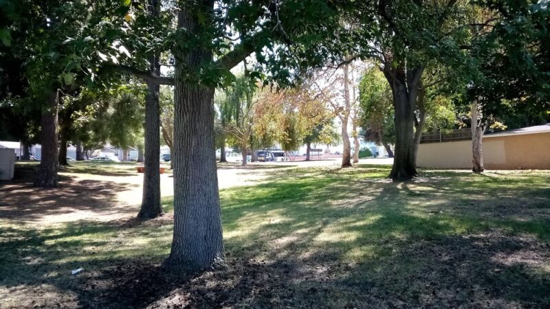 Rena Park - San Pedro, CA