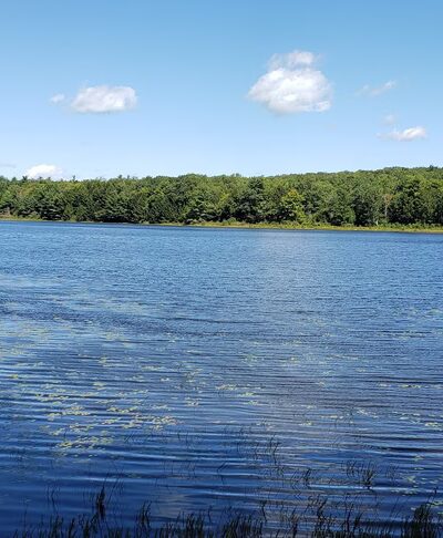 Sandisfield State Forest - Sandisfield, MA
