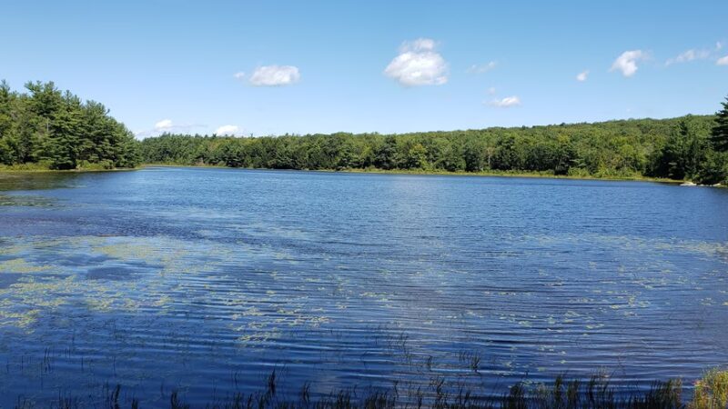 Sandisfield State Forest - Sandisfield, MA