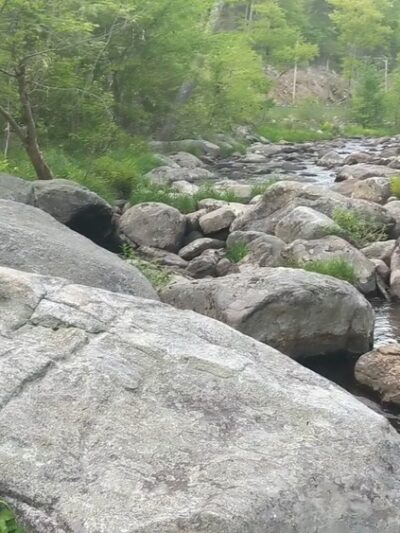 Sandisfield State Forest - Sandisfield, MA