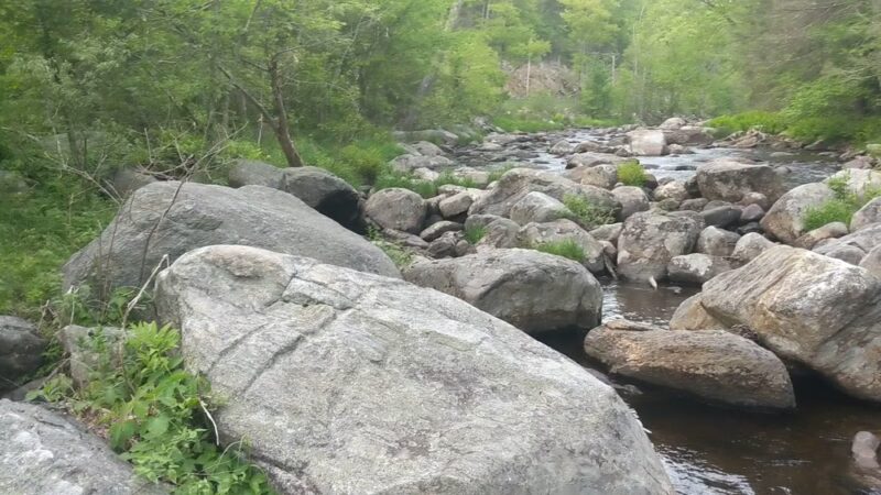 Sandisfield State Forest - Sandisfield, MA