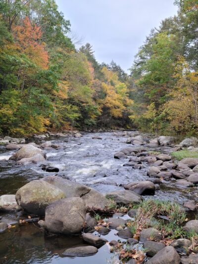 Sandisfield State Forest - Sandisfield, MA