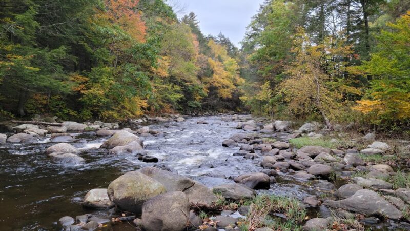 Sandisfield State Forest - Sandisfield, MA
