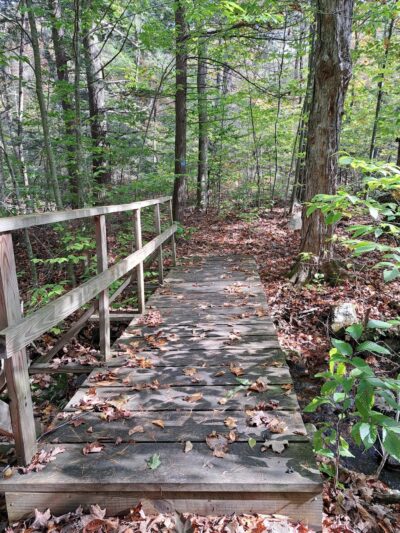 Sandisfield State Forest - Sandisfield, MA