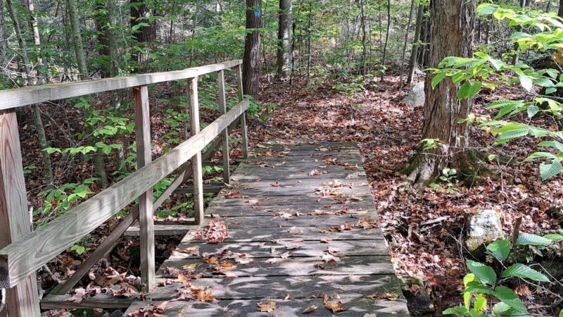Sandisfield State Forest - Sandisfield, MA