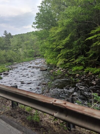 Sandisfield State Forest - Sandisfield, MA