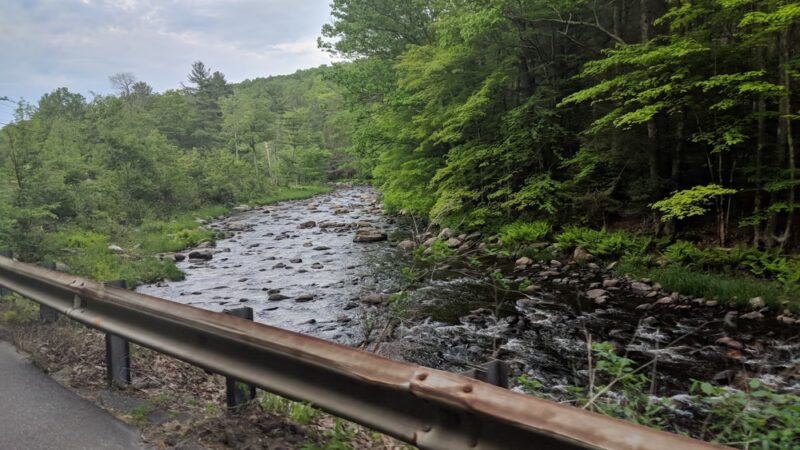 Sandisfield State Forest - Sandisfield, MA