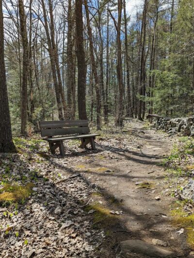 Sandown Town Forest - Sandown, NH