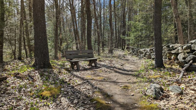 Sandown Town Forest - Sandown, NH