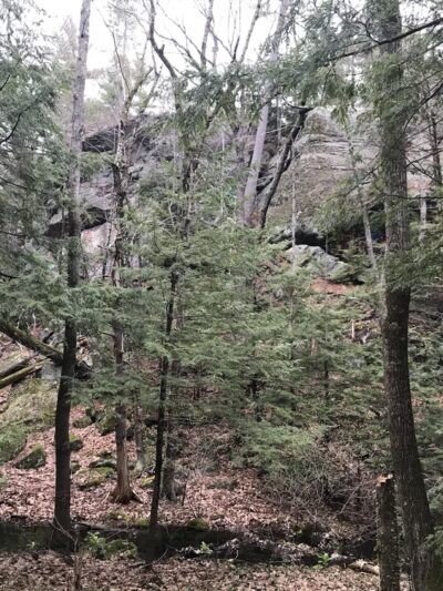 Sandown Town Forest - Sandown, NH