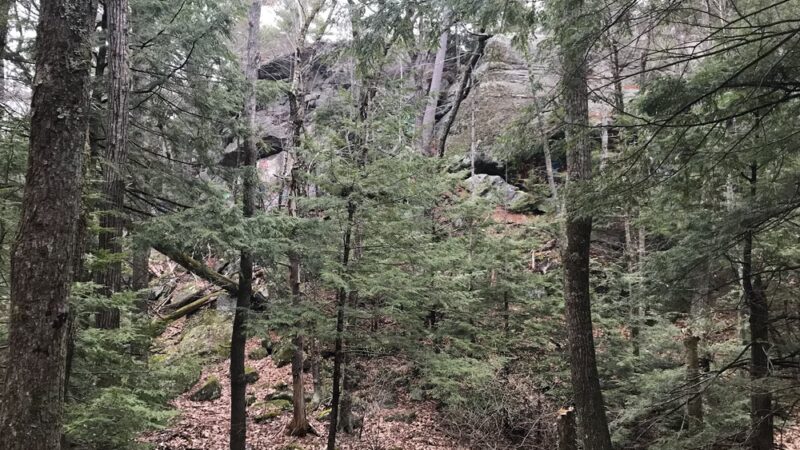 Sandown Town Forest - Sandown, NH